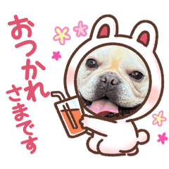 [LINEスタンプ] フレブル⭐︎小鉄くんの日常