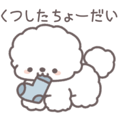 [LINEスタンプ] うちのかわいいビション・フリーゼ