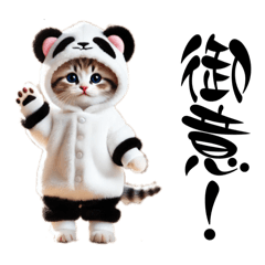 [LINEスタンプ] かわいい！ねこの日常スタンプ①改