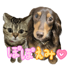 [LINEスタンプ] ぽぽえみ