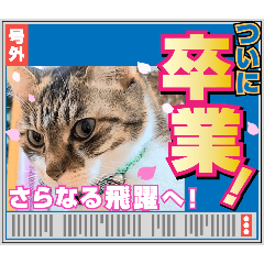 [LINEスタンプ] 卒業＆入学の読み聞かせさんと猫スタンプ