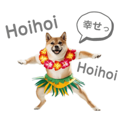[LINEスタンプ] フラダンサー柴犬太