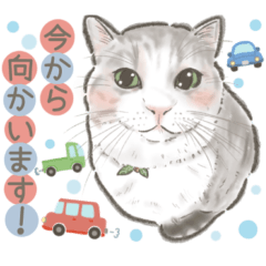 [LINEスタンプ] ハルとキズナ、毎日使えるうちの子スタンプ