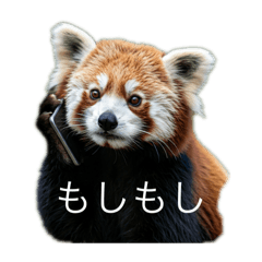 [LINEスタンプ] ハイセンスなレッサーパンダさん