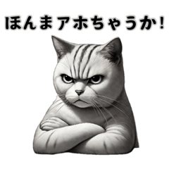 [LINEスタンプ] 大阪弁の猫の説教