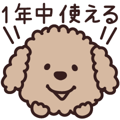 [LINEスタンプ] トイプー♡1年中使えるスタンプ