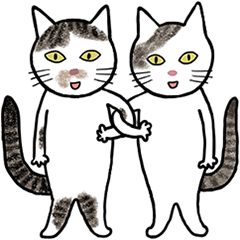 [LINEスタンプ] 猫のびびちょぱブラザーズ