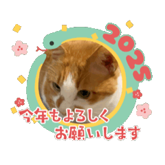 [LINEスタンプ] あいくんゴロゴロ2025