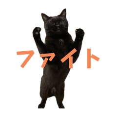 [LINEスタンプ] ぐぅ心拳