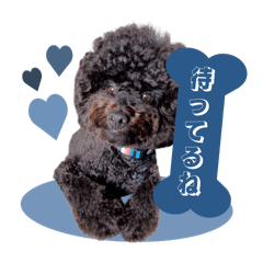 [LINEスタンプ] Raouの日常スタンプ