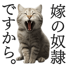 [LINEスタンプ] 嫁に頭が上がらない旦那サバトラ猫ミーム