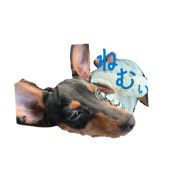 [LINEスタンプ] いやあし