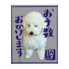 [LINEスタンプ] うちのワンちゃん【敬語】