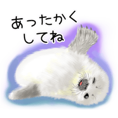 [LINEスタンプ] 冬に使える北極動物スタンプ(日常、会話)