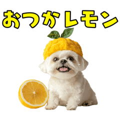 [LINEスタンプ] どうしてもダジャレを言いたい犬