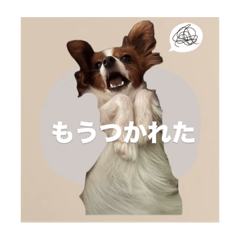 [LINEスタンプ] ルイるあとルタるう