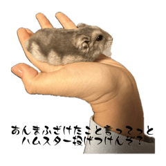 [LINEスタンプ] ハムハム天国の画像（メイン）