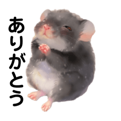 [LINEスタンプ] 黒デグーであいさつ