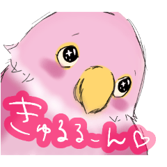 [LINEスタンプ] インコさんたちの生活