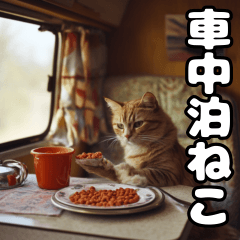 [LINEスタンプ] 車中泊ねこ