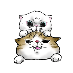 [LINEスタンプ] 色んな猫さんの日常スタンプ