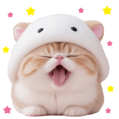 [LINEスタンプ] スコティッシュ猫 可愛いカラフルニット