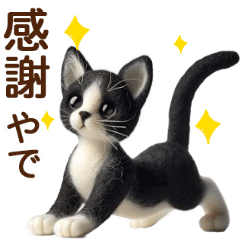 [LINEスタンプ] 動く♡フェルト猫の関西弁連絡(ハチワレ)