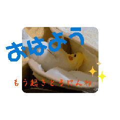 [LINEスタンプ] かぶりィンコ その一