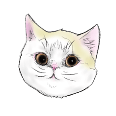 [LINEスタンプ] 色んな猫さんの愉快なスタンプ