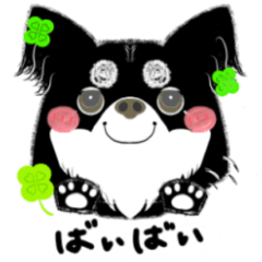 [LINEスタンプ] よく使うことば！元気なワンちゃんと！