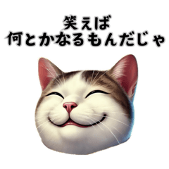 [LINEスタンプ] 津軽弁の猫の説教