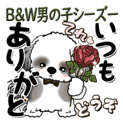 [LINEスタンプ] B＆Wの男の子シーズー 『男の子っぽい言葉』