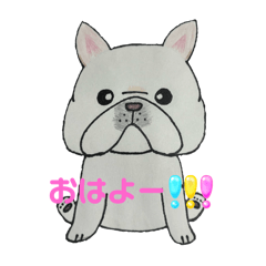 [LINEスタンプ] フレブル⭐︎日常