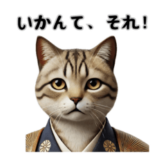 [LINEスタンプ] 名古屋弁の猫の説教