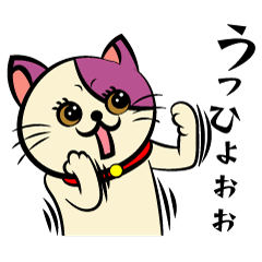 [LINEスタンプ] ねこっと日常