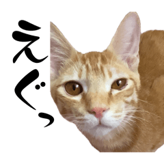 [LINEスタンプ] 茶々からねえねへ2