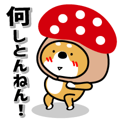 [LINEスタンプ] 何しとんねん！き、きのこけん。（日常編）