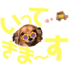 [LINEスタンプ] チワックスRUBYの文字が大きいスタンプ