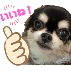 [LINEスタンプ] ぽてとまめ3