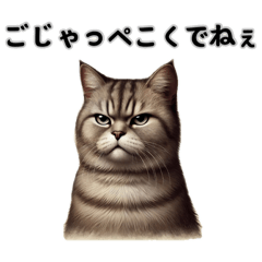 [LINEスタンプ] 栃木弁の猫の説教