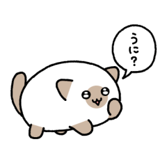 [LINEスタンプ] しゃむまろくんスタンプ