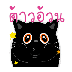 [LINEスタンプ] くろねこちゃんとタイ語・英語のスラング