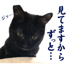 [LINEスタンプ] 黒猫トムチ8