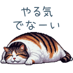 [LINEスタンプ] だらだらしたい猫ちゃん【かわいい・ねこ】