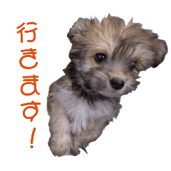 [LINEスタンプ] エル氏(4ヶ月記念)