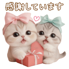 [LINEスタンプ] スコティッシュ猫 可愛い冬の思いやり 敬語