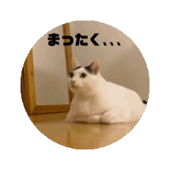 [LINEスタンプ] はっぴーの生活