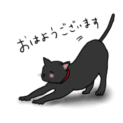 [LINEスタンプ] 黒猫ののんびり1日