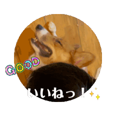 [LINEスタンプ] 動く！でかコギ君