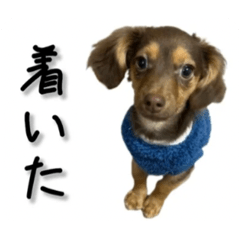 [LINEスタンプ] チワックスとハムスター